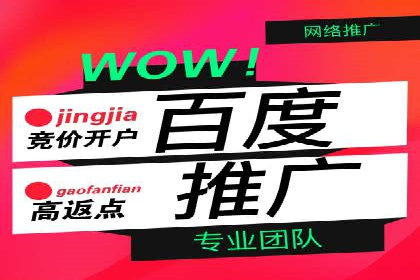 竞价代运营实战案例深度剖析
